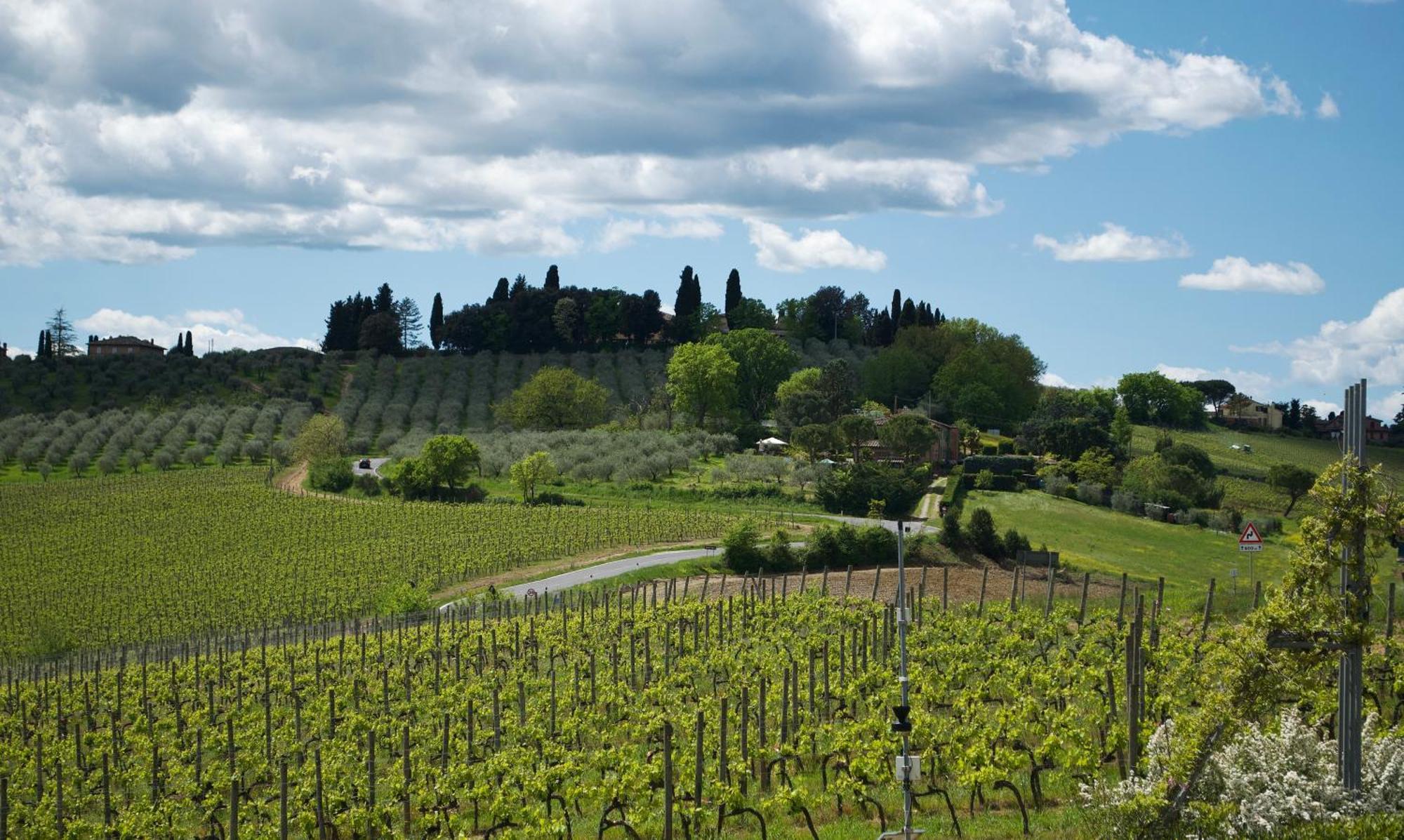 Villa Il Castagno Wine & Resort Сиена Экстерьер фото